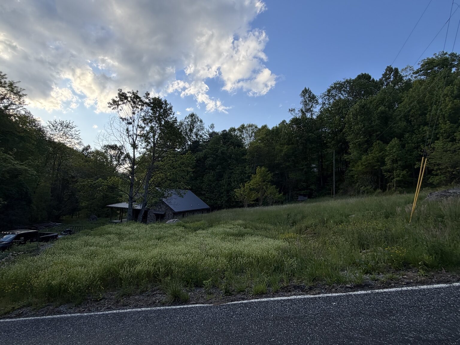 Overgrown mountain property before service