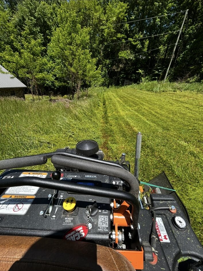 Professional stand-on mower cutting an overgrown mountain property