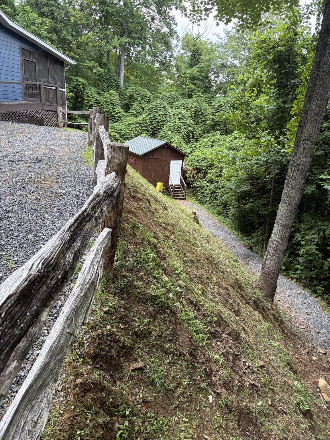 Maintained steep bank at a mountain cabin